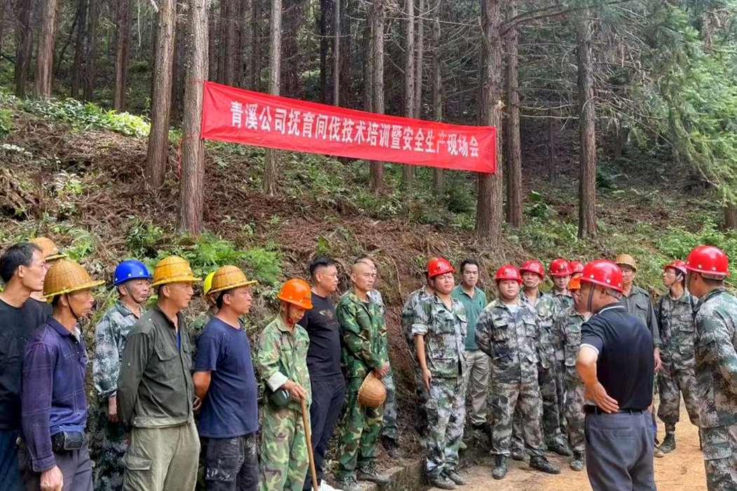 加強森林撫育示范管理，促進(jìn)森林質(zhì)量精準(zhǔn)提升