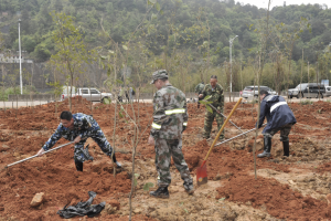 陽春三月雨，正是植樹好時(shí)節(jié)