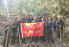 干好每一天|青山掛白我復(fù)綠，無(wú)私奉獻(xiàn)金森人——資源保護(hù)部義務(wù)突擊隊(duì)工作記實(shí)