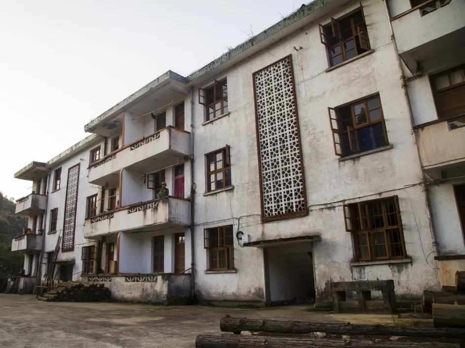 【金森榜樣】護(hù)林員邱玉祥的一天:想一輩子與青山相伴 【金森榜樣】護(hù)林員邱玉祥的一天:想一輩子與青山相伴