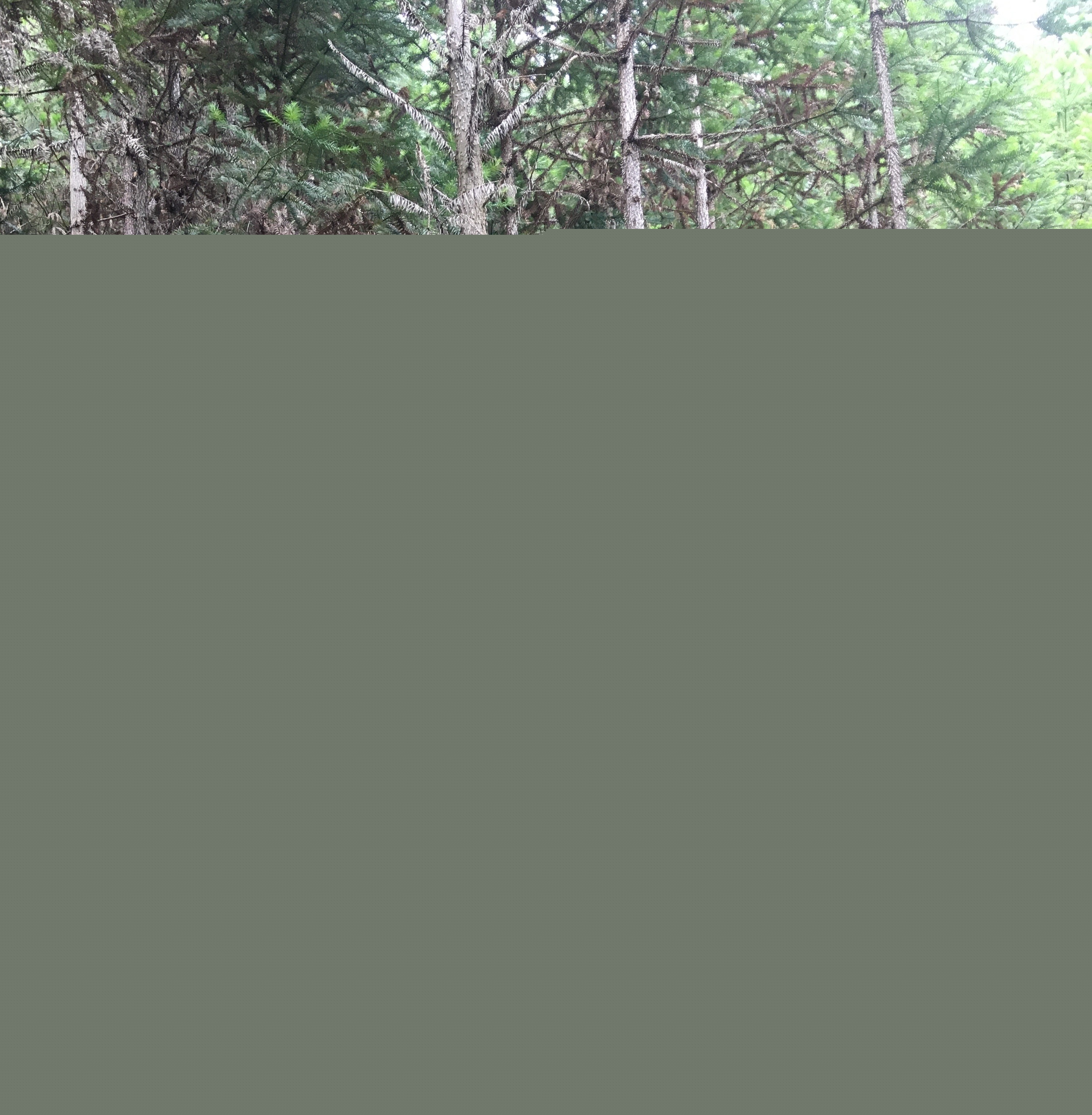 支部結(jié)對(duì)共建 促進(jìn)黨建業(yè)務(wù)“雙提升”