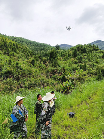 嚴(yán)把森林培育質(zhì)量關(guān)，譜寫資源培育新篇章