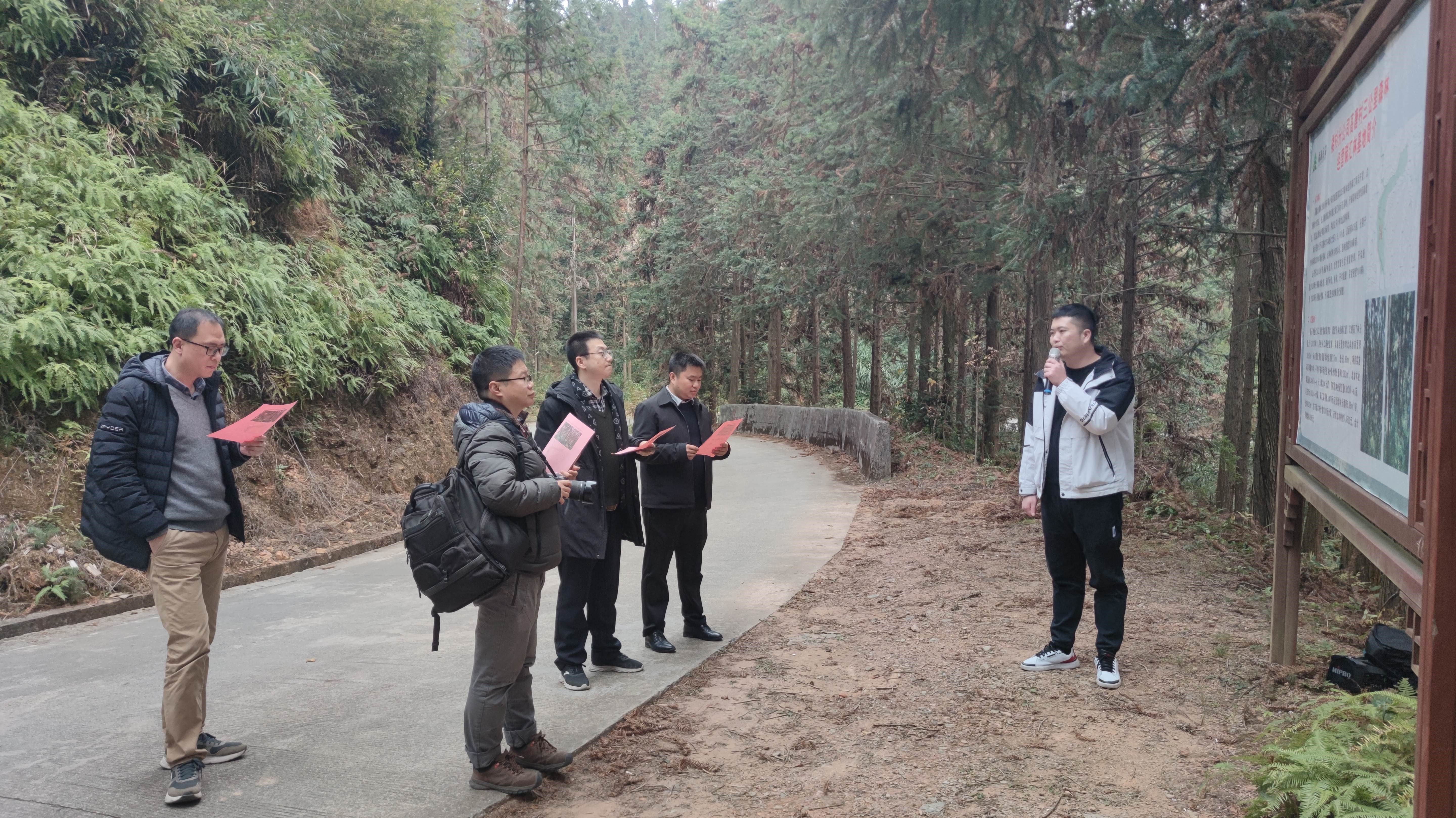 福建金森與上海園林集團——強強交流促合作，共繪林改新藍圖