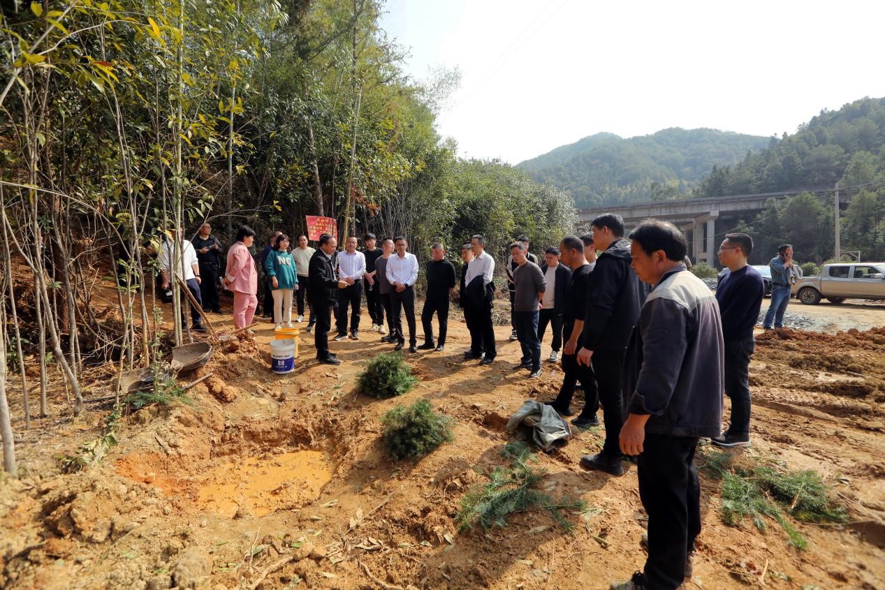 不負春光好，搶播萬畝林 ——將樂縣村企合作造林工作現(xiàn)場會在福建金森召開